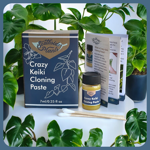 Crazy Keiki Plant Cloning Paste